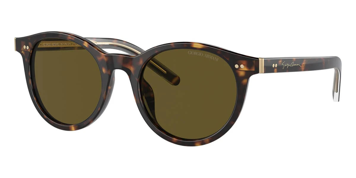 Giorgio Armani AR8199U 5879/73