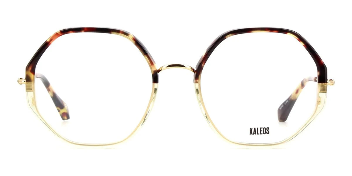Kaleos Hollander 5 - Image 2