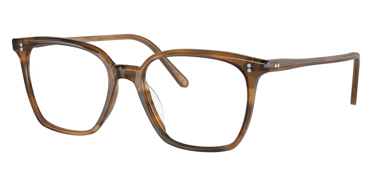 Oliver Peoples Rasey OV5488U 1011 - As Seen On Rickie Fowler