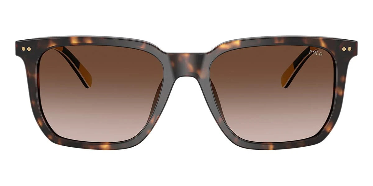 Polo Ralph Lauren PH4224U 5003/13 - As Seen On Guy Remmers - Image 2