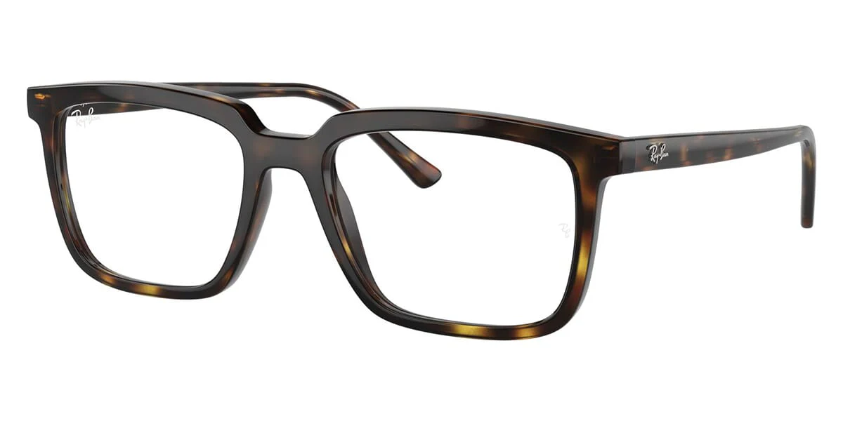 Ray-Ban Alain RB 7239 2012