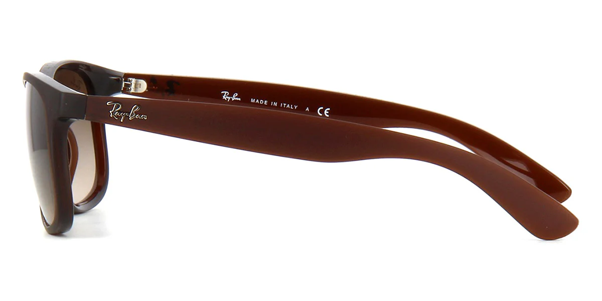 Ray-Ban Andy 4202 6073/13 - Image 3