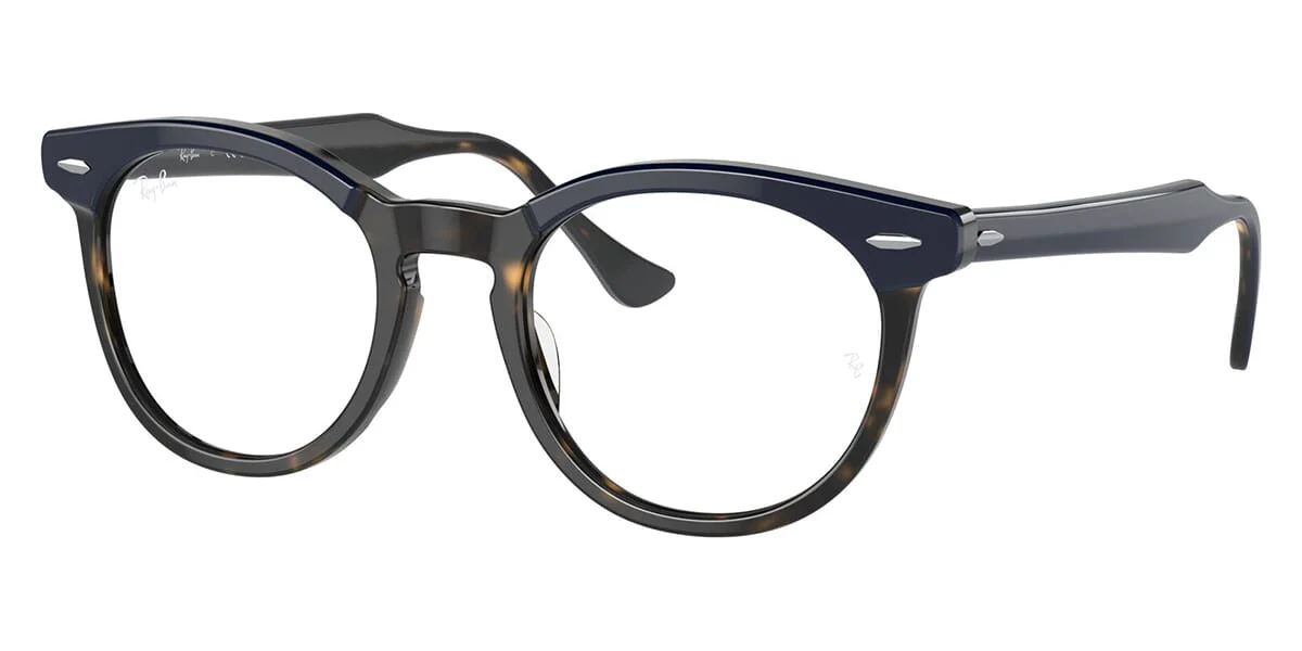 Ray-Ban EagleEye RB 5598 8378