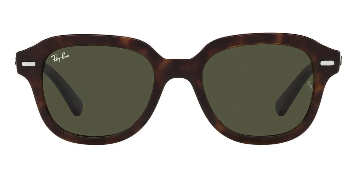 Ray-Ban Erik RB 4398 902/31 - Image 2