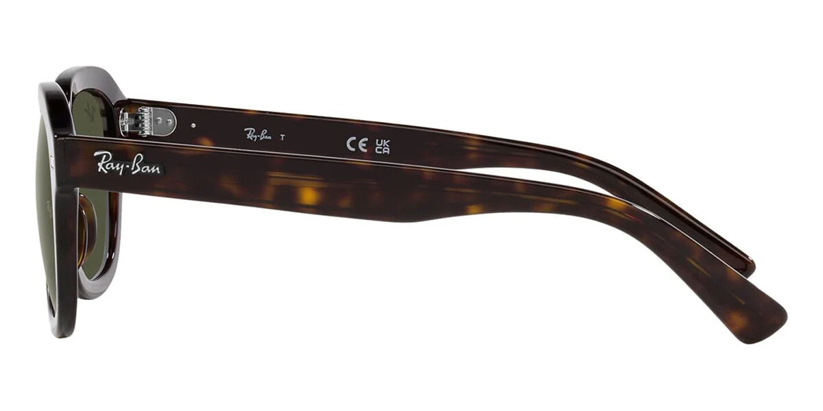 Ray-Ban Erik RB 4398 902/31 - Image 3
