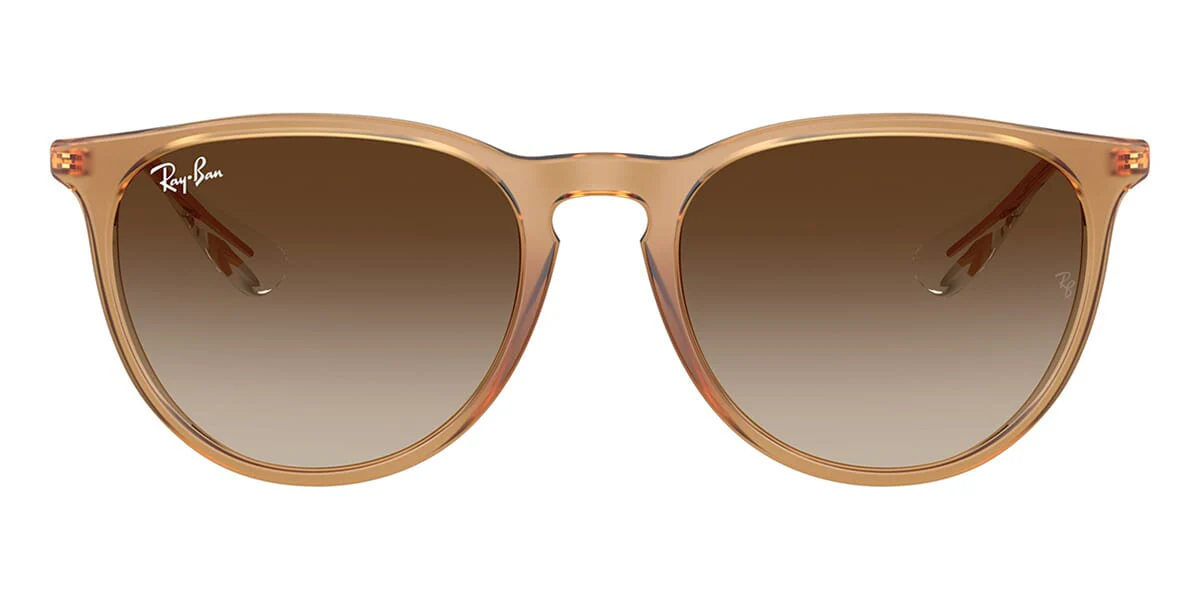 Ray-Ban Erika RB 4171 6814/13 - As Seen On David Warner - Image 2