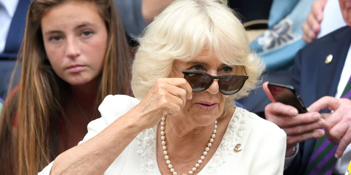 Ray-Ban Erika RB 4171 710/T5 Polarised - As Seen On Tom Felton & Queen Camilla - Image 5