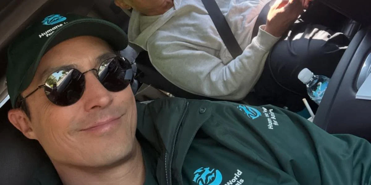 Ray-Ban Jack RB 3565 002/48 Polarised - As Seen On Daniel Henney - Image 4