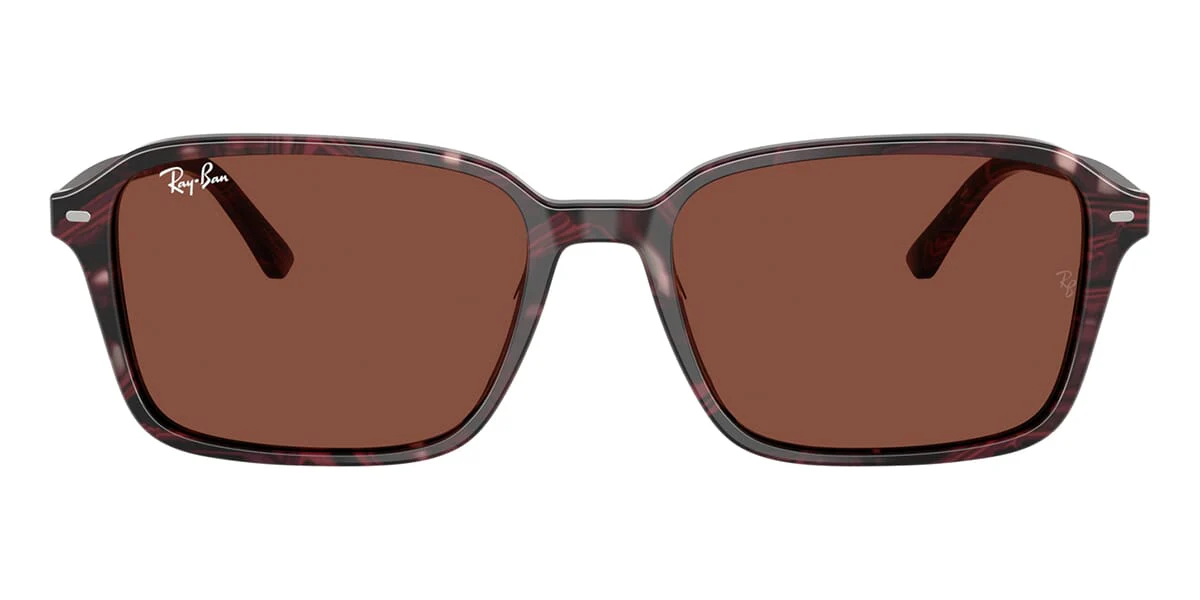 Ray-Ban Raimond RB 2231 1416/C5 - Image 2