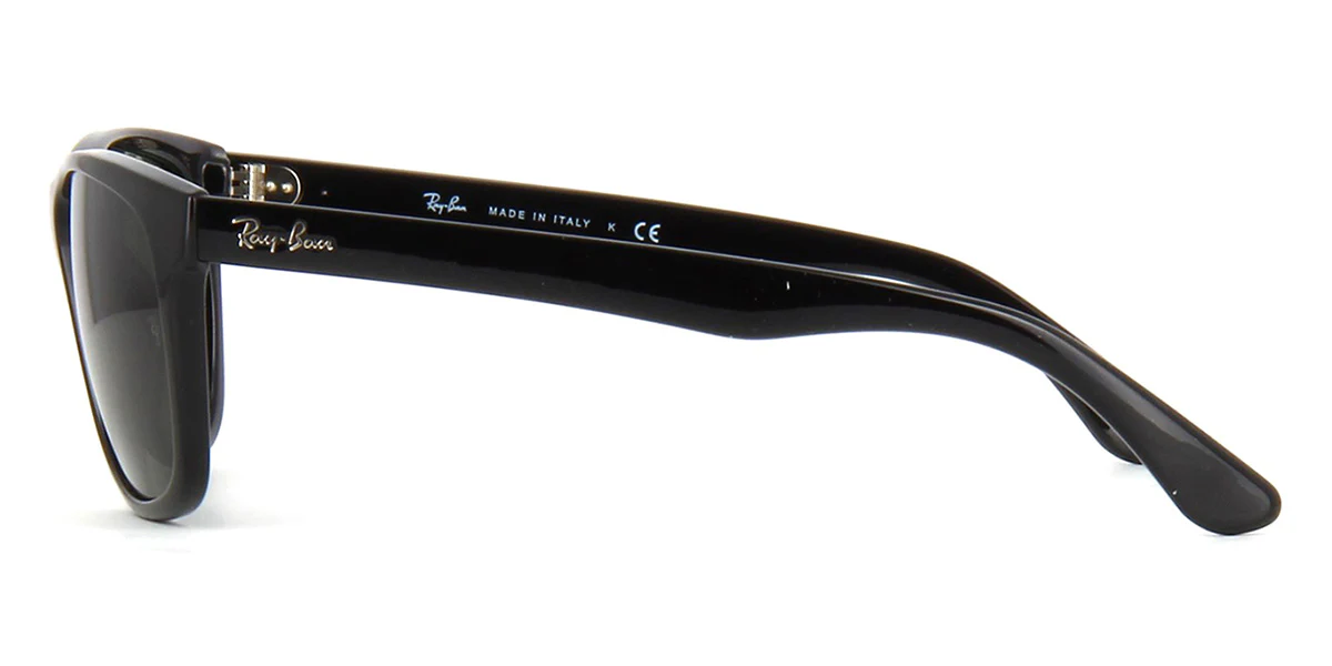 Ray-Ban RB 4181 601 - As Seen On Xzibit & Kim Basinger - Image 3