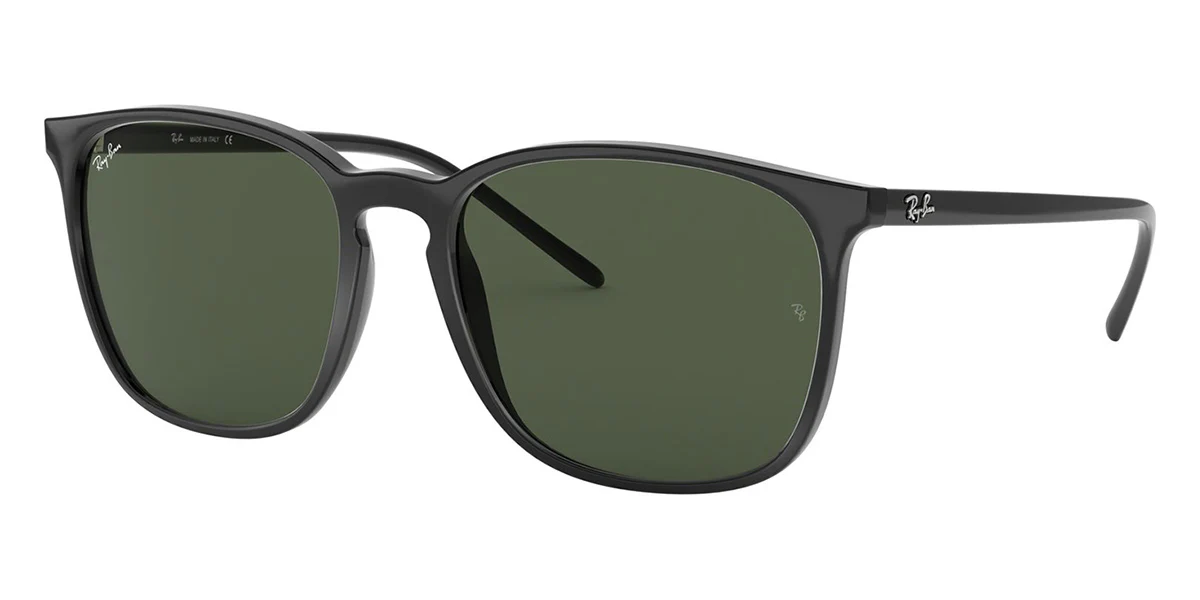 Ray-Ban RB 4387 601/71 - As Seen On Max Minghella & Wisin