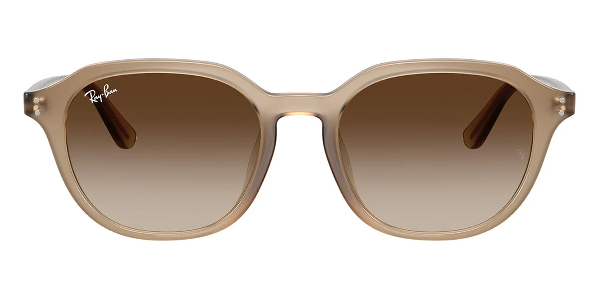Ray-Ban RB 4459D 6166/13 - Image 2