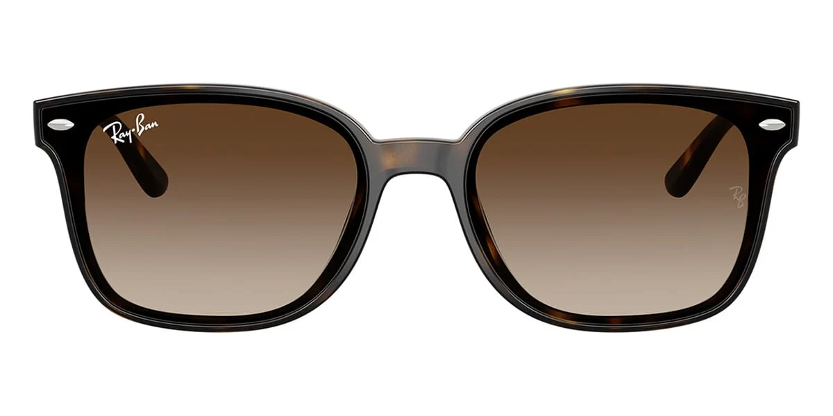 Ray-Ban RB 4461D 710/13 - Image 2