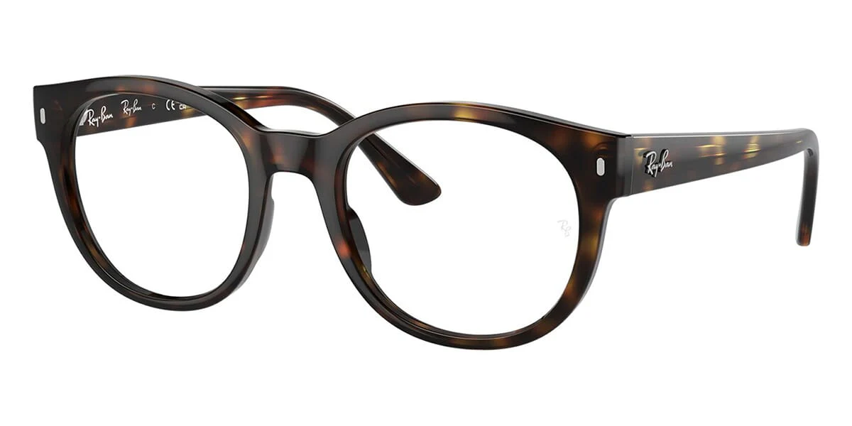 Ray-Ban RB 7227 2012