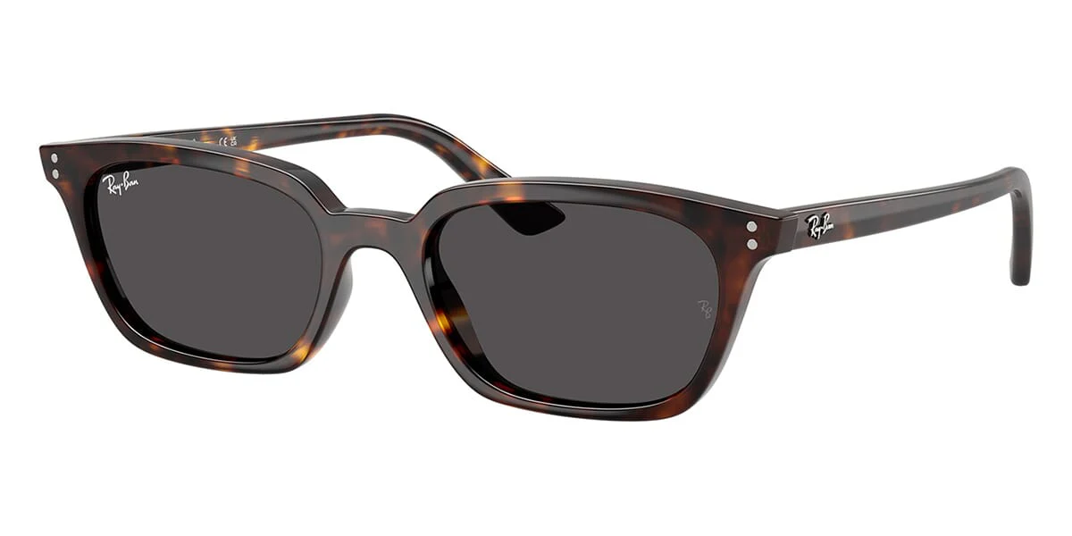 Ray-Ban Zaya RB 4456 1359/87