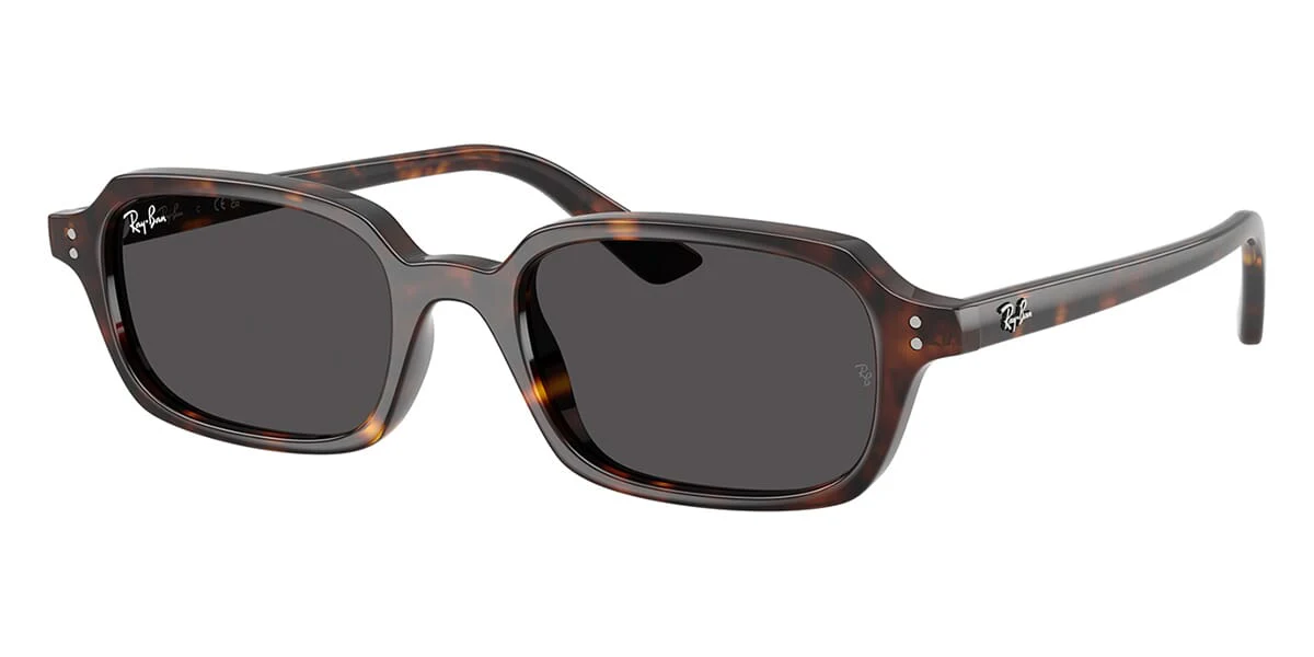 Ray-Ban Zuri RB 4455 1359/87 - As Seen On Barbara Palvin