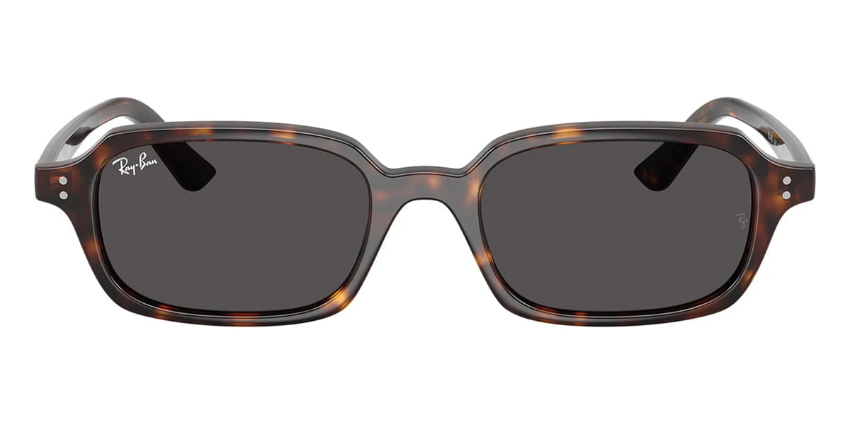Ray-Ban Zuri RB 4455 1359/87 - As Seen On Barbara Palvin - Image 2