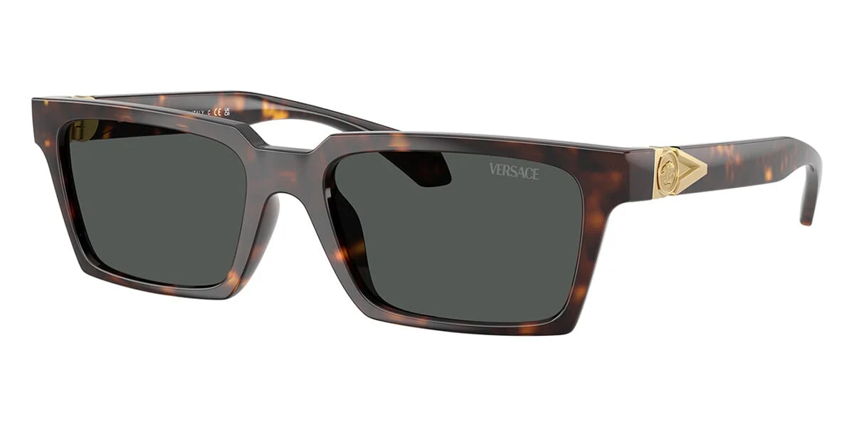 Versace 4490U 108/87